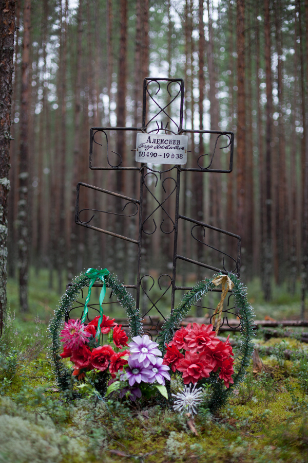 Памятный крест с табличкой П.Я.Алексееву. Фотография Александра Соло. 2016 год