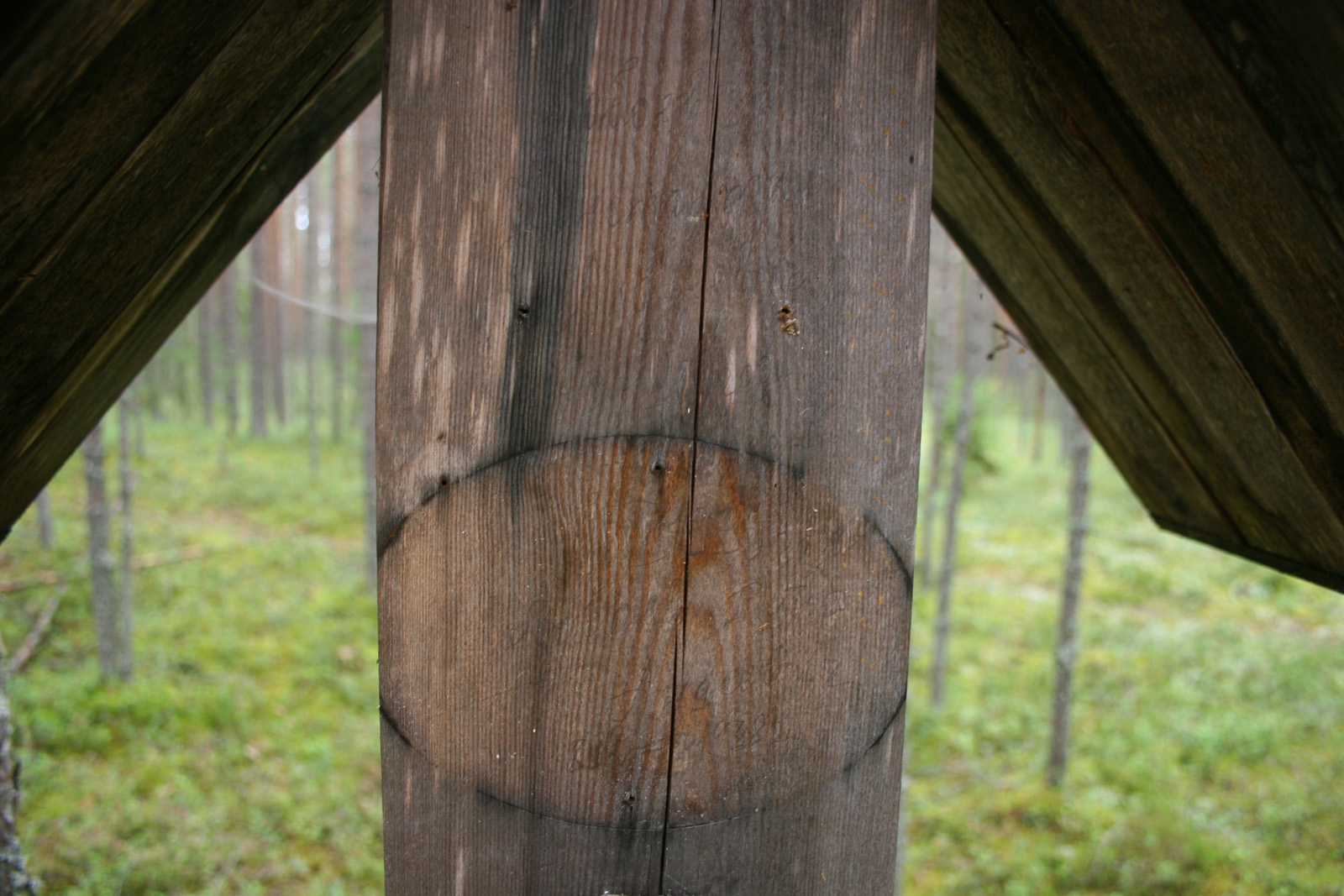 Деревянный столб-голубец