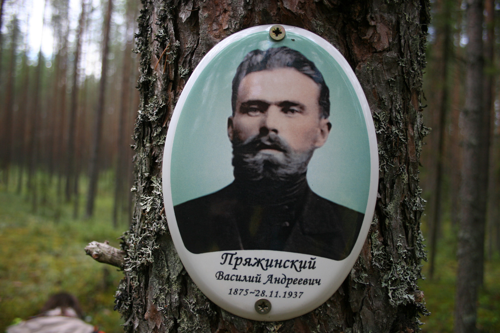 Памятная табличка Василию Андреевичу Пряжинскому
